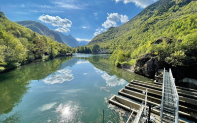 Guerlédan : Pollution en rivière – EDF et un salarié condamnés