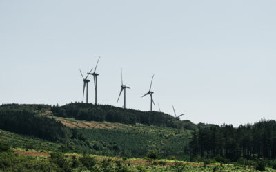 Rapport sénatorial sur les prix, la consommation et la production d’électricité aux horizons 2035 et 2050