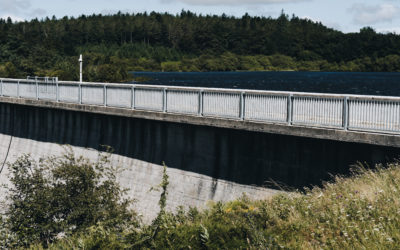 L’autorité de la concurrence veut la peau des tarifs réglementés