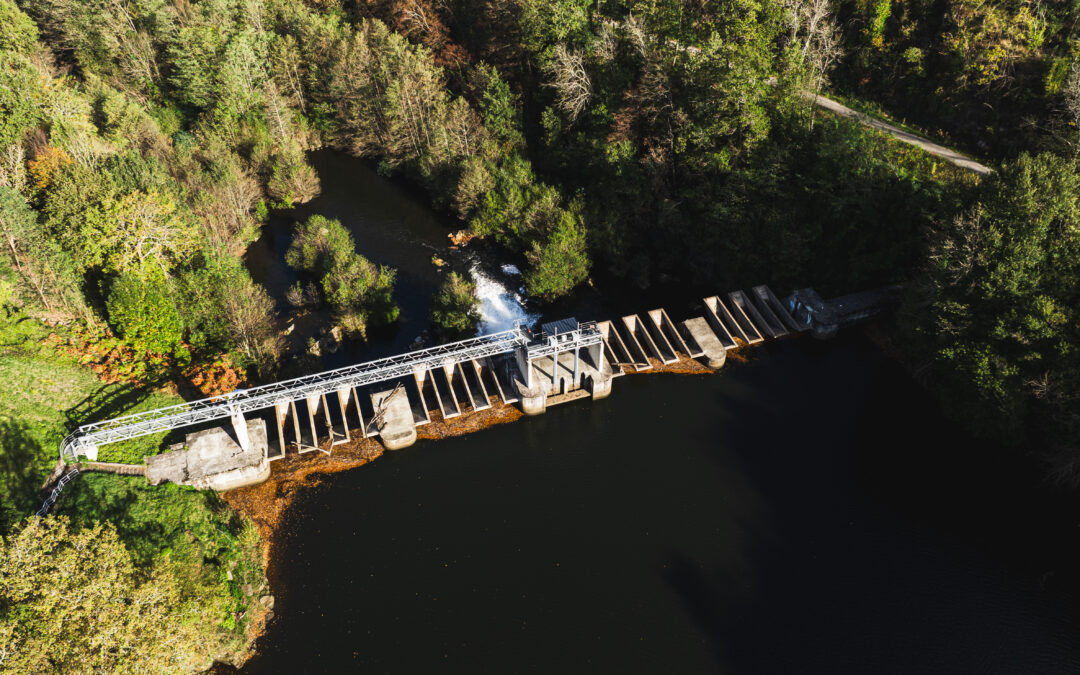 Motion de soutien à Sophie Binet